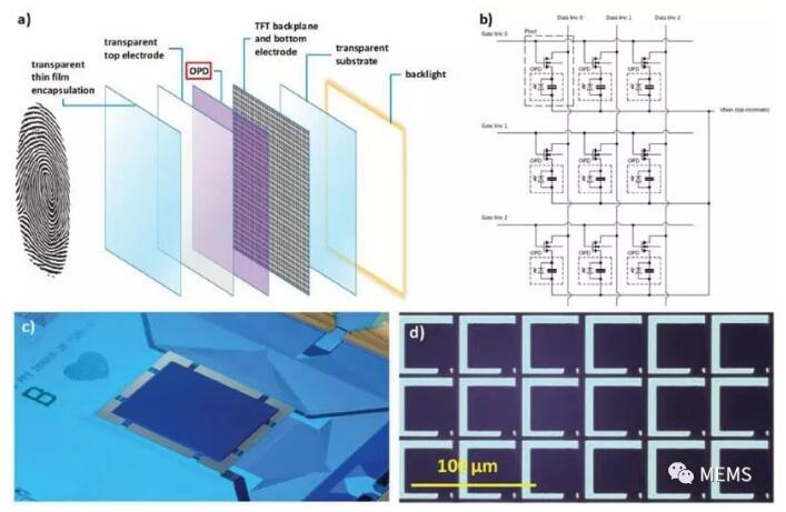 荷蘭科學家研發(fā)新型柔性高分辨率指紋識別傳感技術(shù) 荷蘭科學家研發(fā)新型柔性高分辨率指紋識別傳感技術(shù)