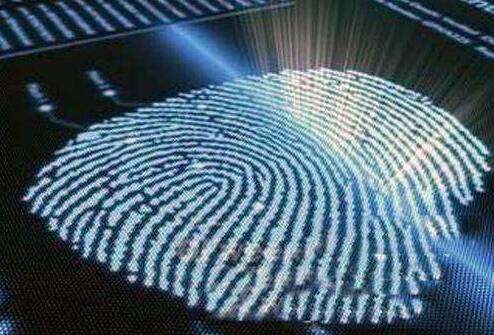 荷蘭科學家研發(fā)新型柔性高分辨率指紋識別傳感技術(shù) 荷蘭科學家研發(fā)新型柔性高分辨率指紋識別傳感技術(shù)